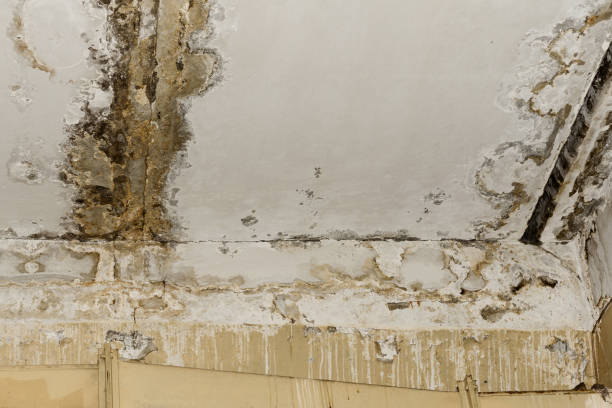 Water damage restoration insurance claims in Aledo, TX